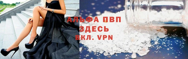 ПСИЛОЦИБИНОВЫЕ ГРИБЫ Гусь-Хрустальный