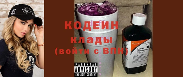 ПСИЛОЦИБИНОВЫЕ ГРИБЫ Гусь-Хрустальный