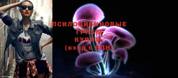 mdpv Гусиноозёрск