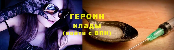 гашик Тайга