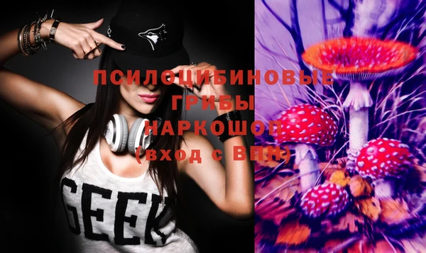 MESCALINE Гусев