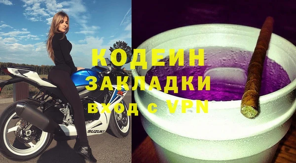 ПСИЛОЦИБИНОВЫЕ ГРИБЫ Гусь-Хрустальный