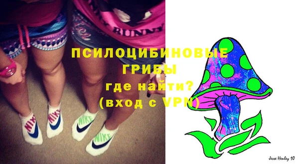 MESCALINE Гусев
