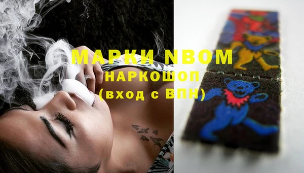 ПСИЛОЦИБИНОВЫЕ ГРИБЫ Гусь-Хрустальный