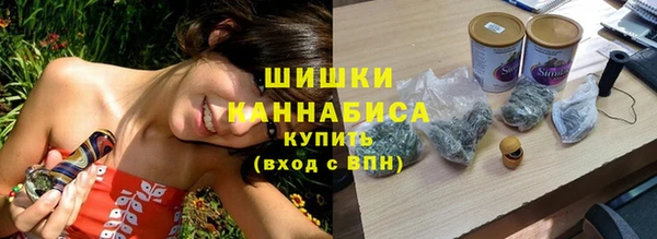 ПСИЛОЦИБИНОВЫЕ ГРИБЫ Гусь-Хрустальный
